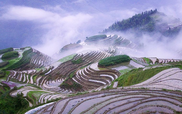 mountains, clouds, landscapes, fields, mist, rice, misery - desktop wallpaper