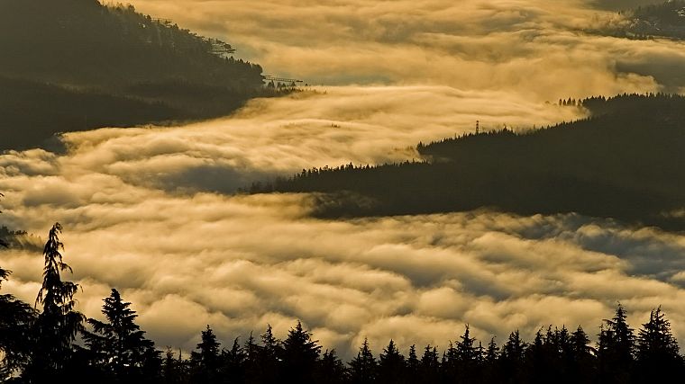 fog, British Columbia - desktop wallpaper