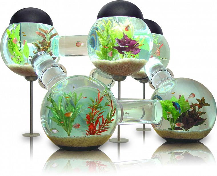 aquarium, fish tank - desktop wallpaper