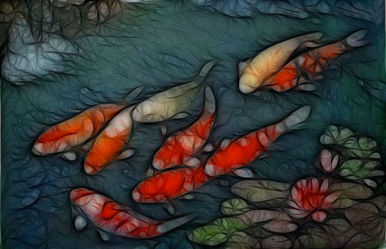 Japan, fish, koi - desktop wallpaper