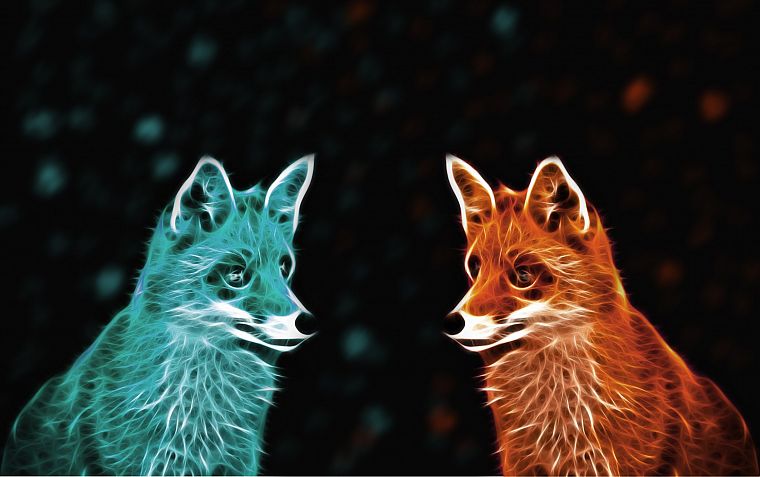 abstract, foxes - desktop wallpaper