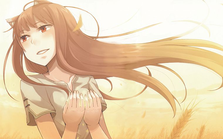 Spice and Wolf, Holo The Wise Wolf - desktop wallpaper