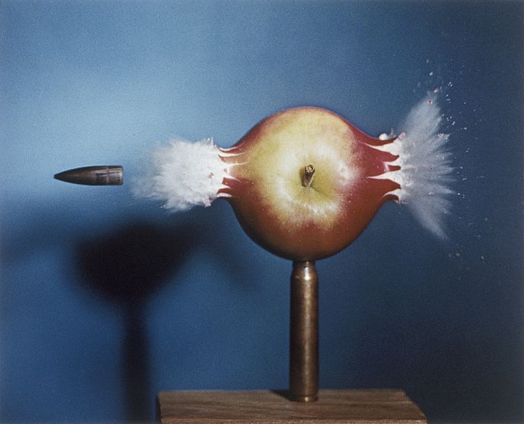 crash, ammunition, apples - desktop wallpaper