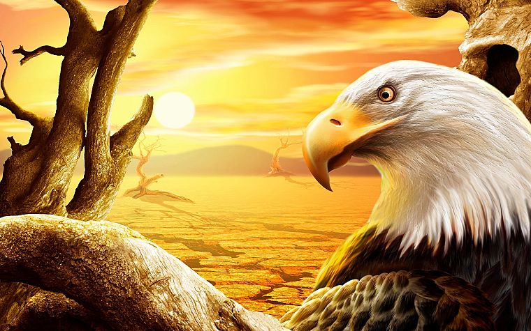 CGI, eagles - desktop wallpaper