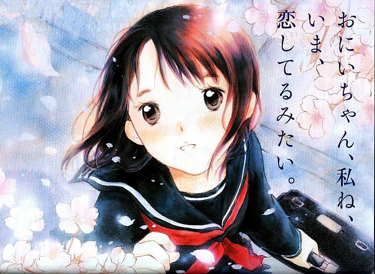 anime, manga, Koi Kaze - desktop wallpaper