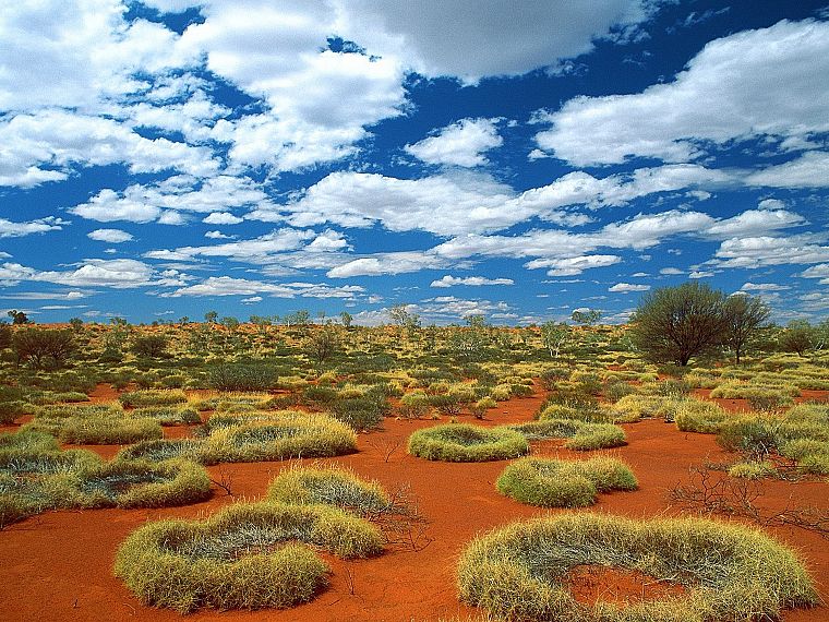 nature, sand, old, deserts, little, rings, Australia, sky - desktop wallpaper