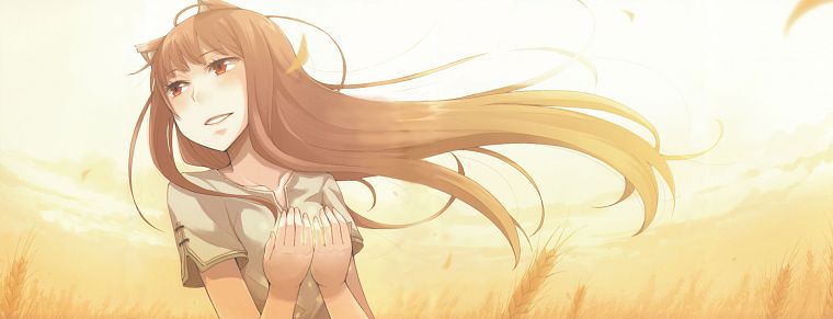 brunettes, Spice and Wolf, red eyes - desktop wallpaper