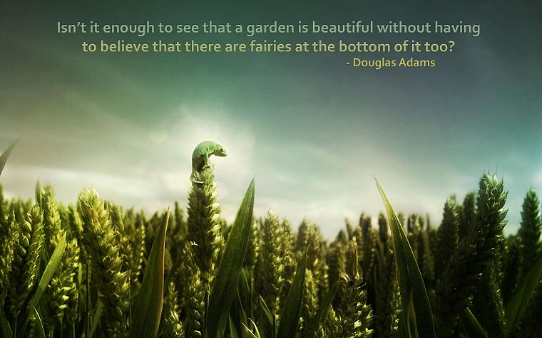 nature, quotes, Douglas Adams, garden, chameleons, fairies, reptiles, spikelets - desktop wallpaper