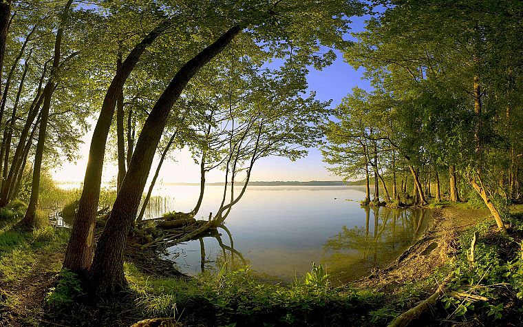 green, nature, trees, lakes - desktop wallpaper