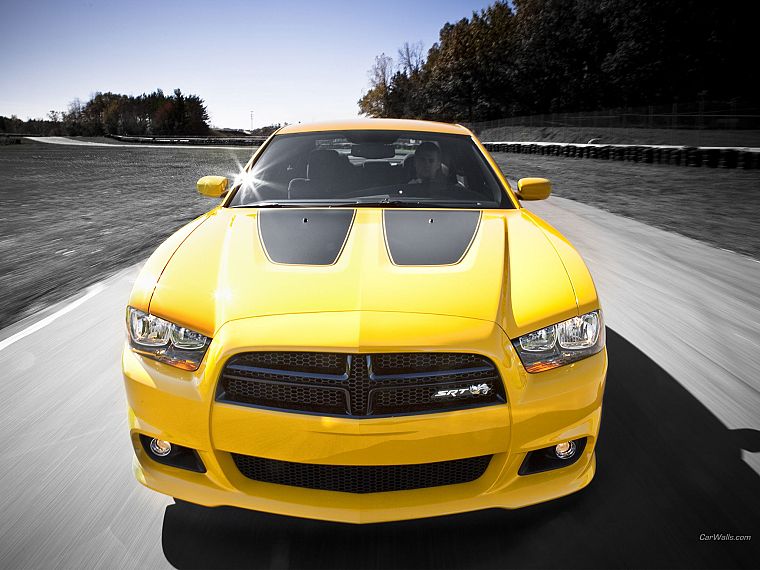 cars, muscle cars, Super Bee, Dodge Charger - desktop wallpaper