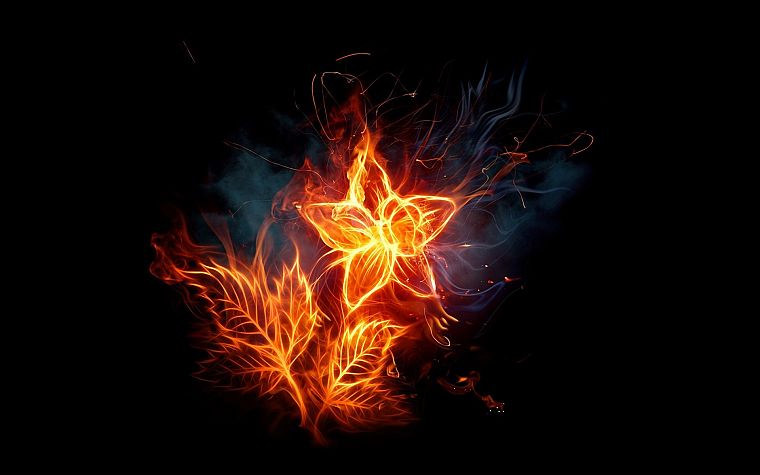 flames, flowers, fire, photo manipulation, black background, fire flower - desktop wallpaper