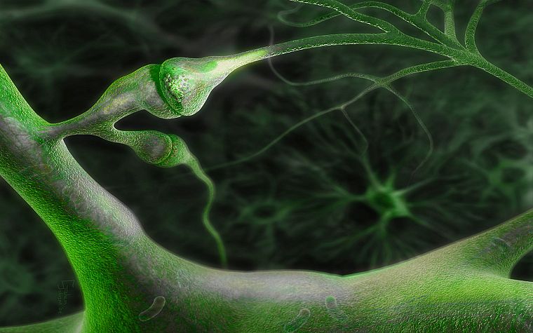 neurons - desktop wallpaper