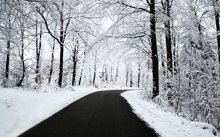 nature, winter, snow, trees, roads - desktop wallpaper