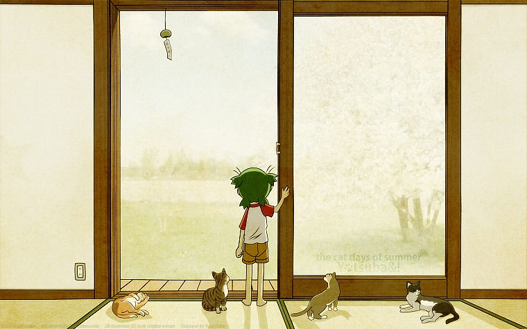 cats, Yotsuba, Yotsubato - desktop wallpaper