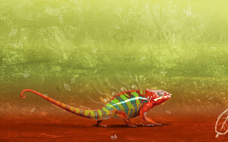 chameleons, artwork - desktop wallpaper