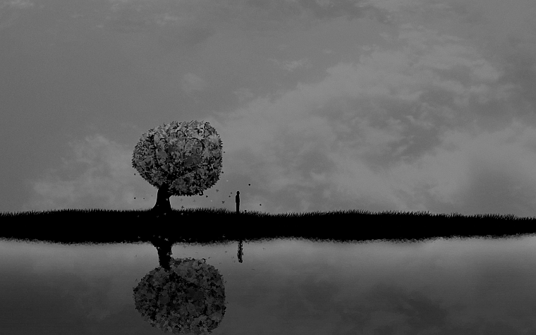 clouds, trees, dark, lakes, reflections - desktop wallpaper