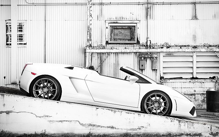 white, cars, Lamborghini - desktop wallpaper
