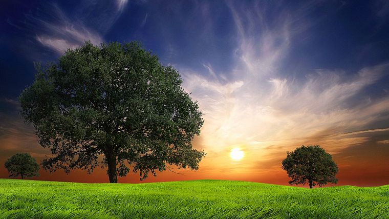 landscapes, nature, Sun, trees, digital art, skyscapes - desktop wallpaper