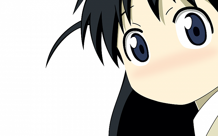 blue eyes, School Rumble, blush, anime, simple background, anime girls, faces, black hair - desktop wallpaper