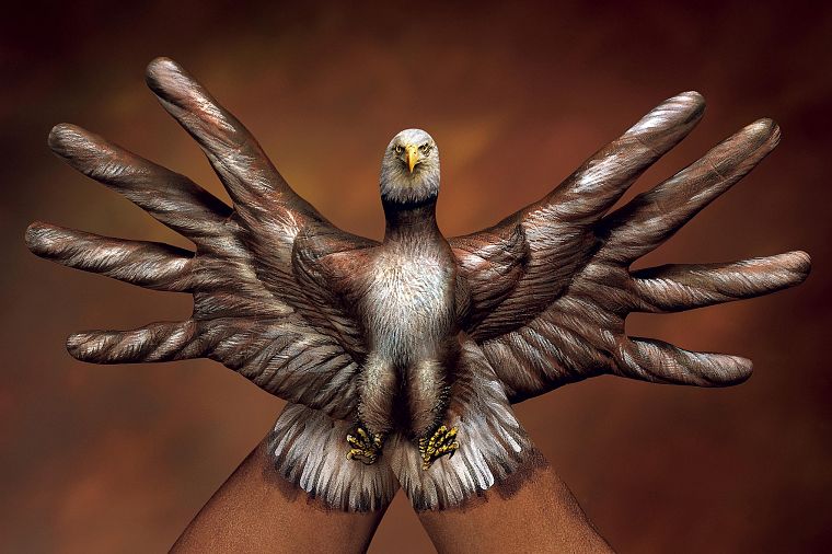 abstract, hands, eagles, illusions, body painting - desktop wallpaper