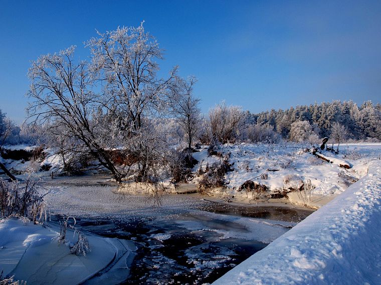 landscapes, nature, winter, snow, trees, white, frozen, Lithuania, ttic24 - desktop wallpaper