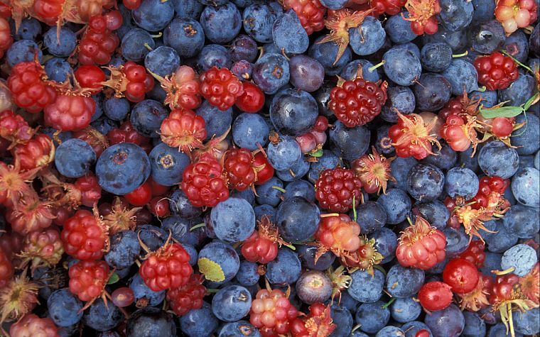 fruits, blueberries - desktop wallpaper