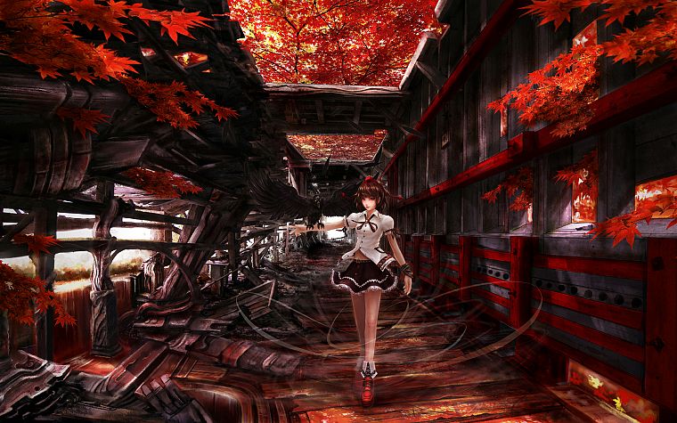 video games, Touhou, autumn, leaves, red eyes, Shameimaru Aya, anime girls, tengu - desktop wallpaper