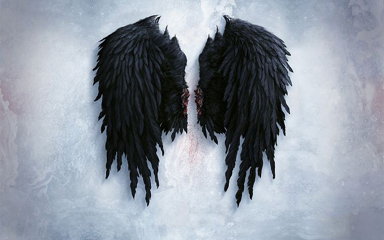 wings, Aion, asmodian, angel wings - desktop wallpaper
