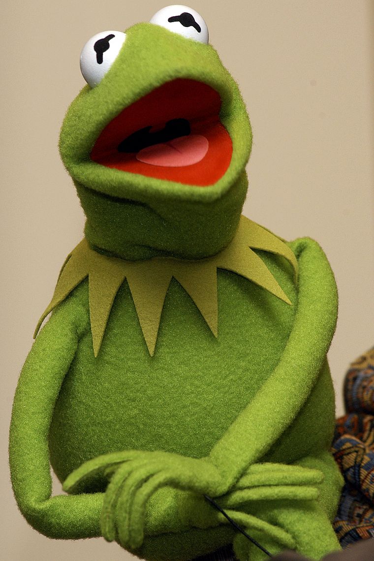 Kermit the Frog - desktop wallpaper
