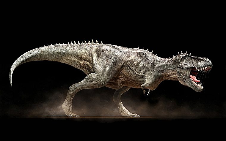 dinosaurs, Tyrannosaurus Rex - desktop wallpaper
