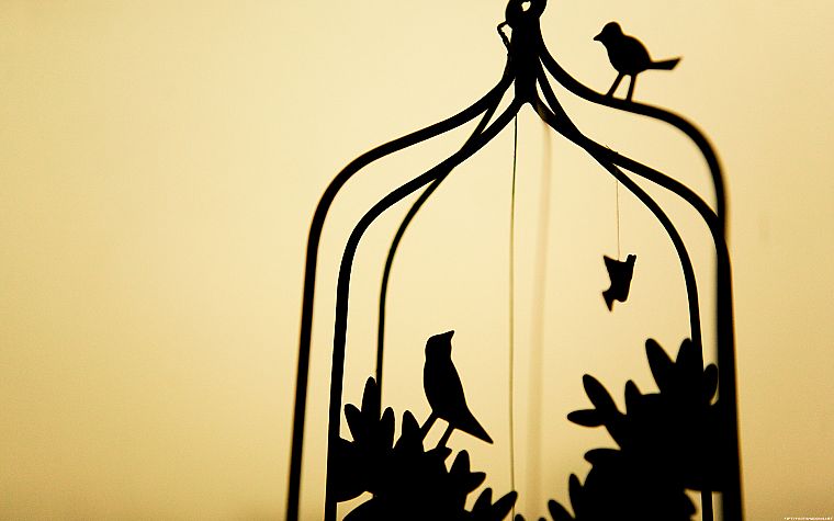 birds, silhouettes, cage, simple background - desktop wallpaper