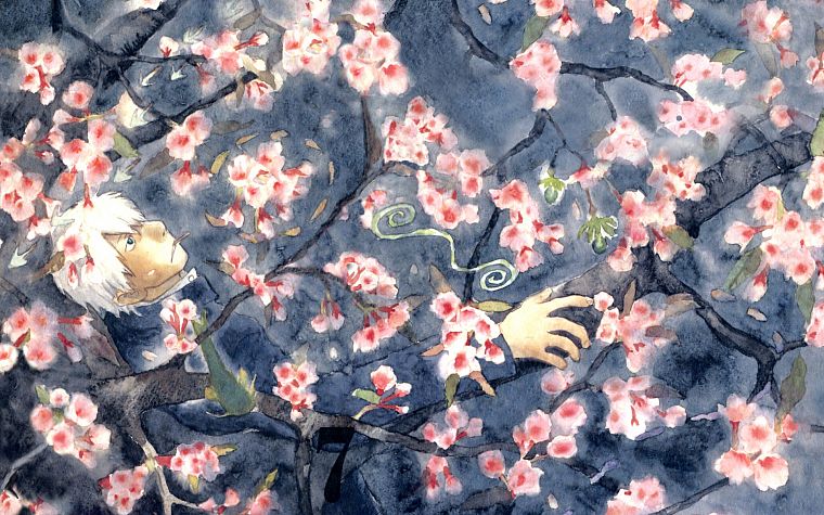 Mushishi, Ginko - desktop wallpaper