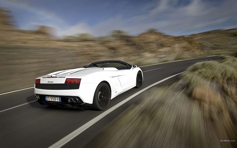 cars, Lamborghini - desktop wallpaper