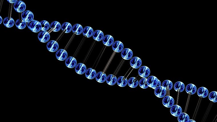 Biology, genetics, DNA - desktop wallpaper