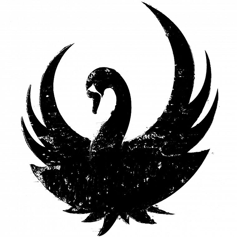 Black Swan - desktop wallpaper