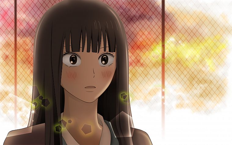 Kimi ni Todoke, Kuronuma Sawako, anime girls, chain link fence - desktop wallpaper