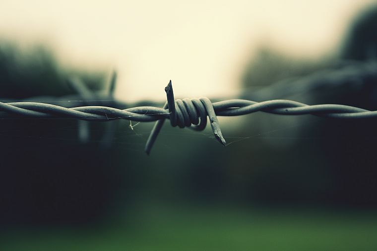 barbed wire - desktop wallpaper