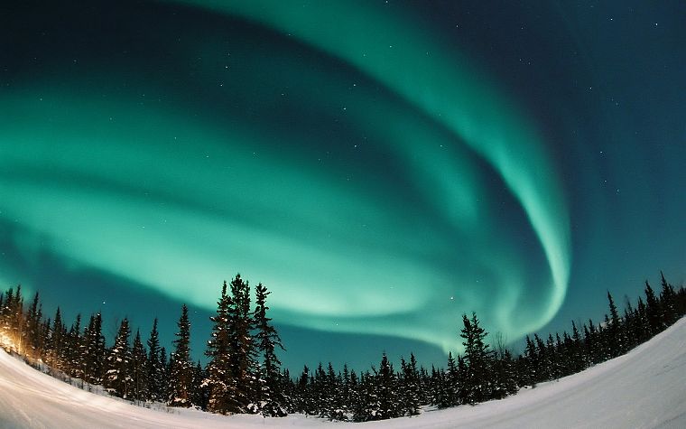 landscapes, snow, forests, aurora borealis - desktop wallpaper