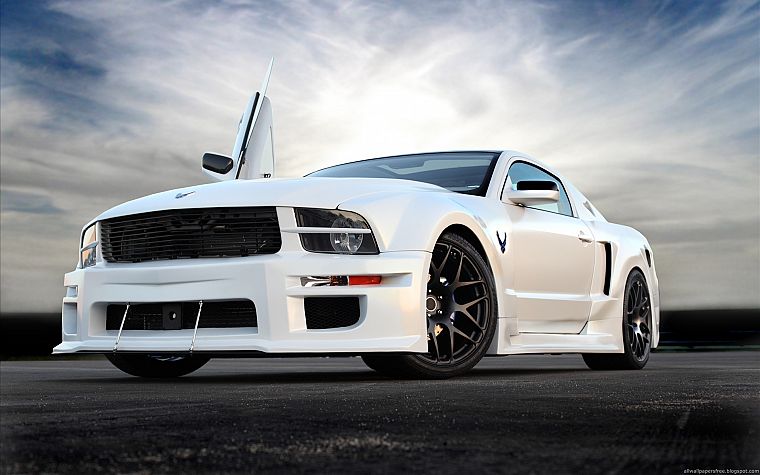 cars, Ford, vehicles, Ford Mustang, low-angle shot - desktop wallpaper