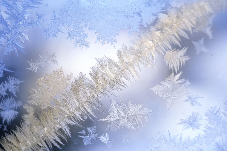 close-up, snowflakes - desktop wallpaper