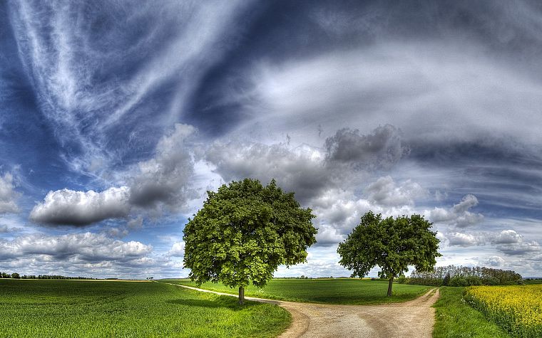 landscapes, trees, skyscapes - desktop wallpaper