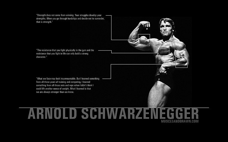 black and white, quotes, Arnold Schwarzenegger, Austrian - desktop wallpaper