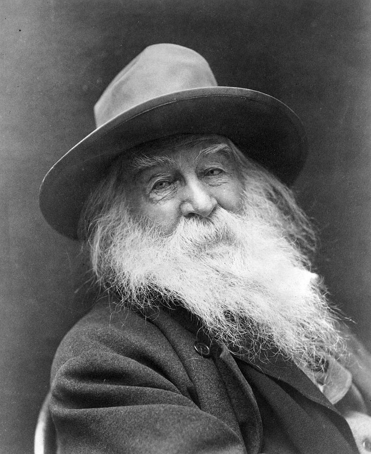 writers, poetry, Walt Whitman - desktop wallpaper