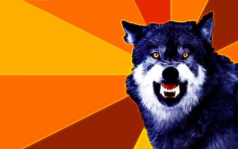 dogs, Courage Wolf - desktop wallpaper