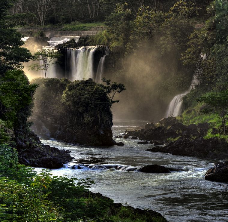 trees, waterfalls, rivers - desktop wallpaper
