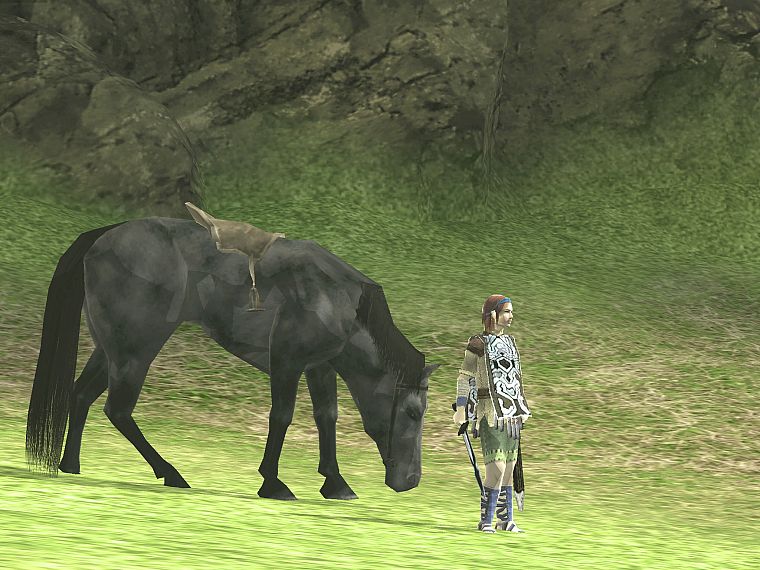 Shadow of the Colossus, Agro (Horse), Wander (Character), girls with horses - desktop wallpaper