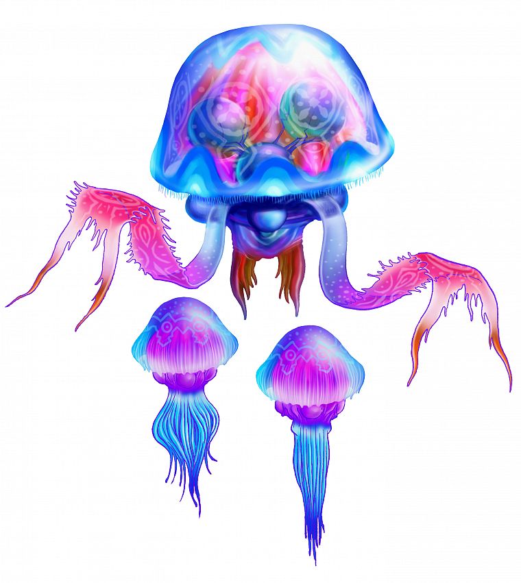 animals, jellyfish, artwork - desktop wallpaper