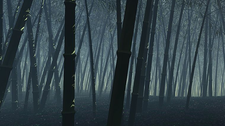 forests, bamboo, digital art - desktop wallpaper