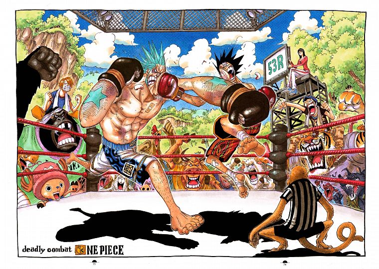 Robin, animals, One Piece (anime), chopper, Franky (One Piece), Monkey D Luffy, Usopp, Sanji (One Piece) - desktop wallpaper