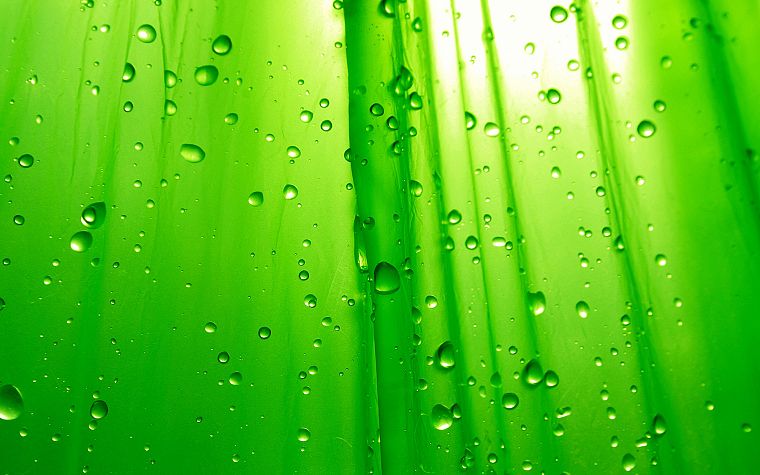 green, water drops, condensation - desktop wallpaper